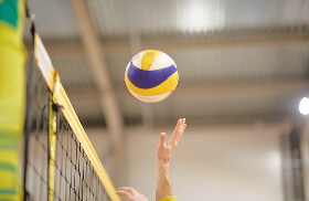 バレーボールから探す