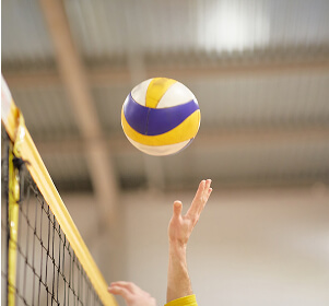 バレーボールから探す